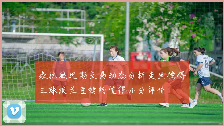 森林狼近期交易动态分析走里德得三球换兰豆续约值得几分评价