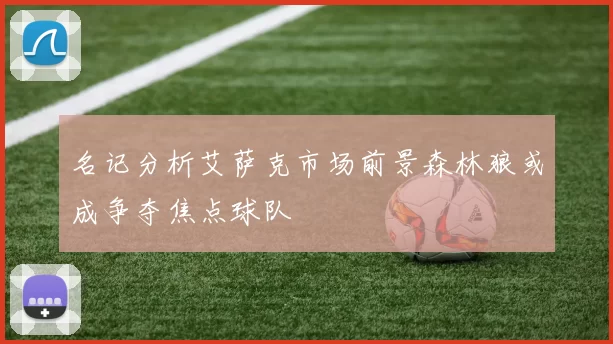 名记分析艾萨克市场前景森林狼或成争夺焦点球队