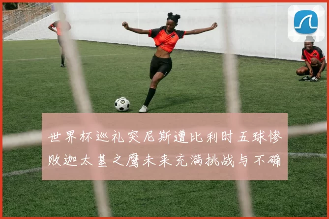 世界杯巡礼突尼斯遭比利时五球惨败迦太基之鹰未来充满挑战与不确定性