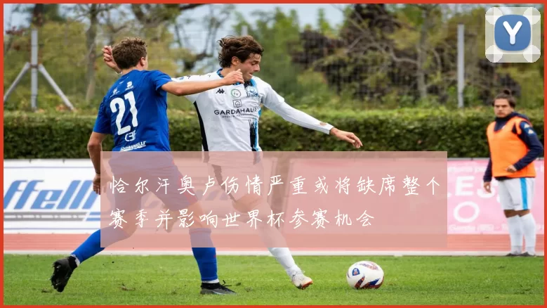 恰尔汗奥卢伤情严重或将缺席整个赛季并影响世界杯参赛机会